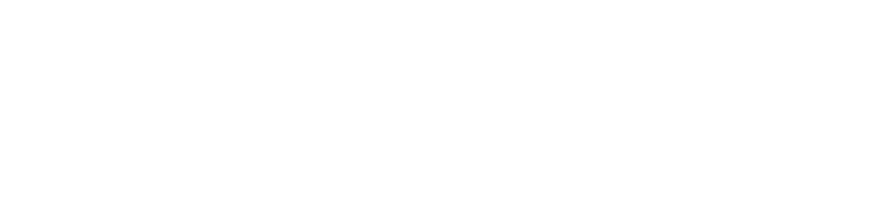 AI Providers
